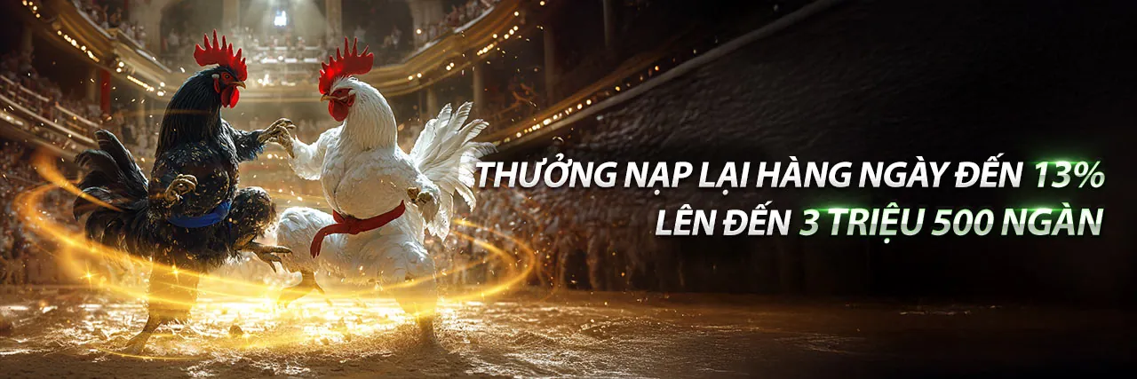 Các chương trình khuyến mãi đá gà hấp dẫn tại mmo88